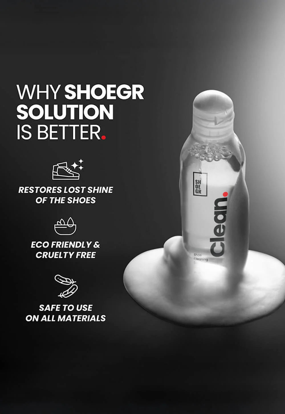 Ultimate Shoe Cleaning Kit