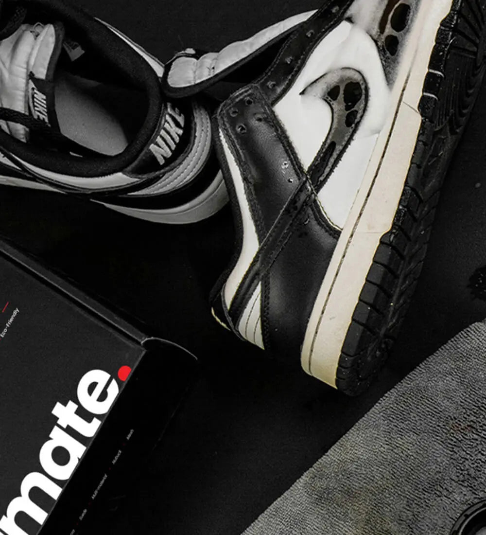 Ultimate Shoe Cleaning Kit