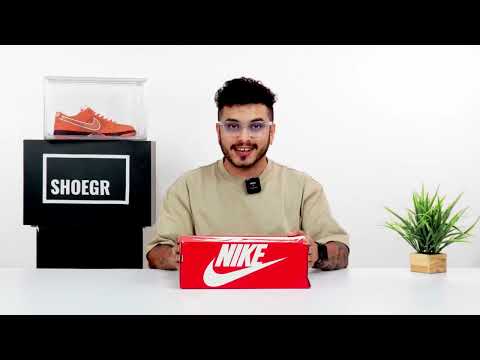 How to clean nike shoes with shoegr shoe care products 